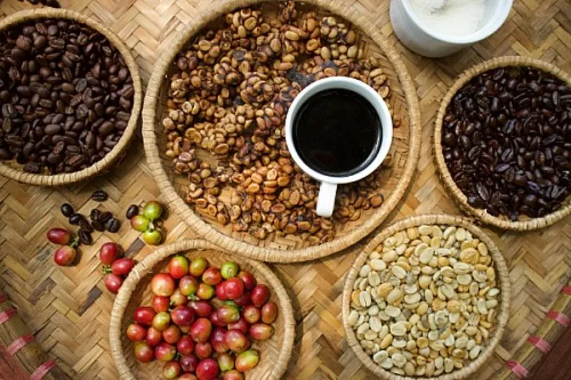 standar kualitas kopi mesin pengupas basah