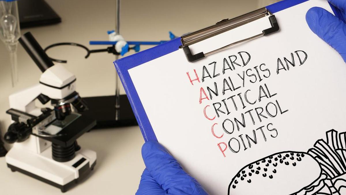 panduan HACCP dapur mbg
