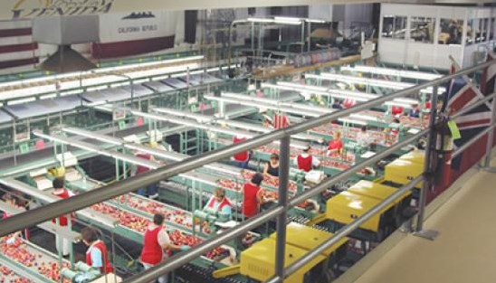 Bangunan Fasilitas Produksi Pangan untuk MBG