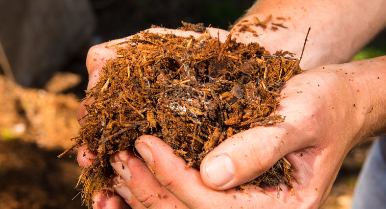Sabut Kelapa sebagai Pupuk Organik Tambahan