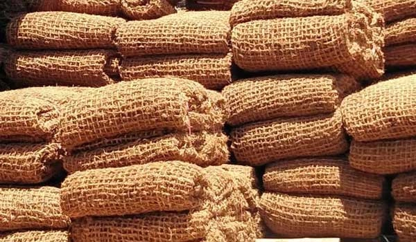 Restorasi Berkelanjutan: Kekuatan Eco Mesh Serat Kelapa